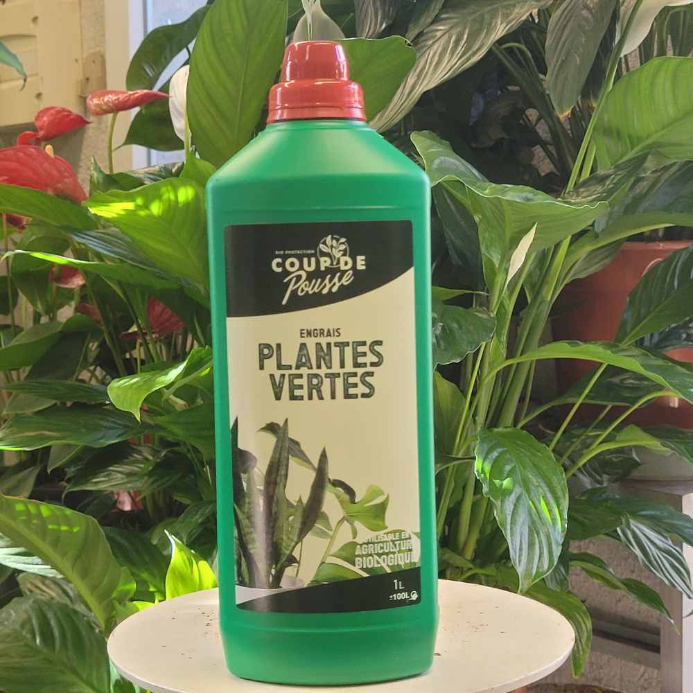 Engrais liquide plantes d\'intérieur
