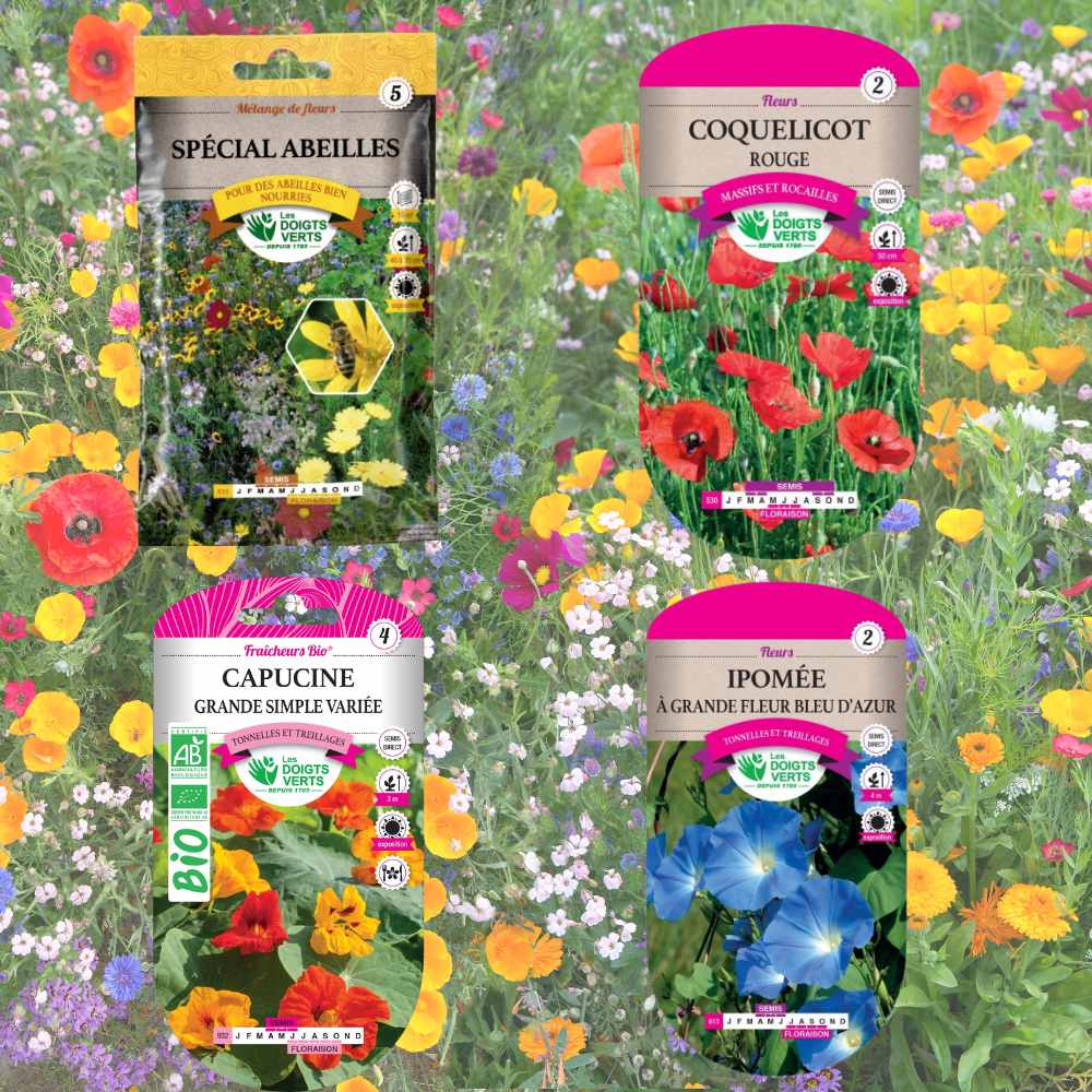 grainesdefleurs_la jardinerie de pessicart nice 06 LIVRAISON GRATUITE