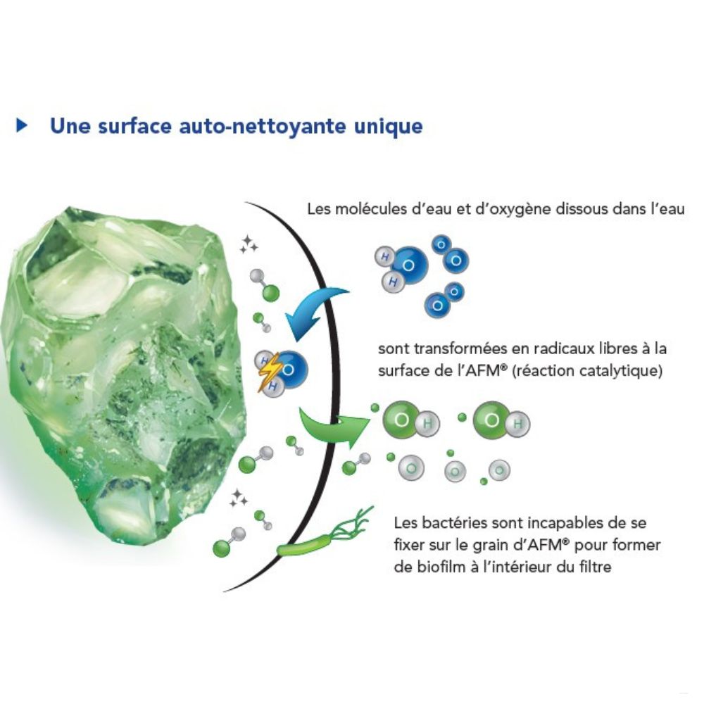 AFM_la jardinerie de pessicart nice 06 LIVRAISON GRATUITE