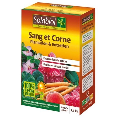 sang corne