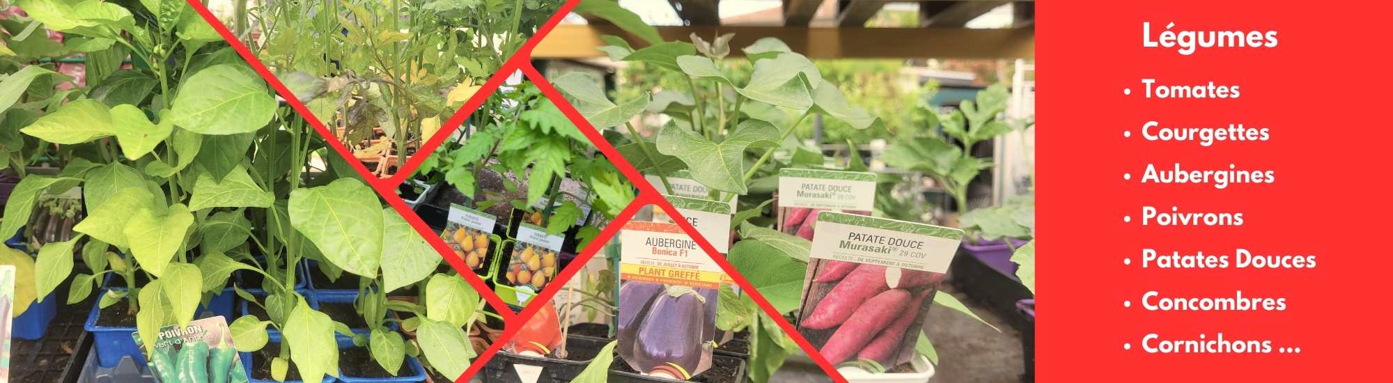Légumes