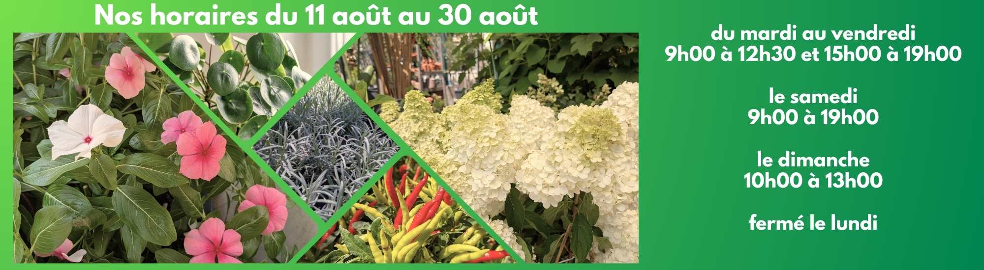 horaires estivales