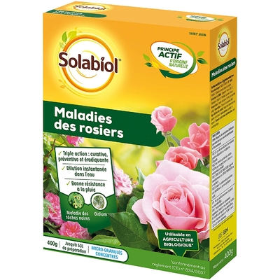 rosiers