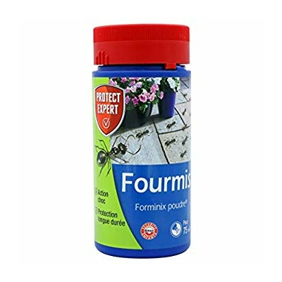 fourmis