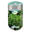 Aneth officinale