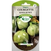 Courgette ronde de Nice