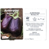 Aubergine bonica F1 plantons plants potager - La jardinerie de pessicart nice - Livraison a domicile nice 06 plantes vertes terres terreaux jardinage arbres cactus