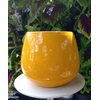IMG-20210623-WA0013 1