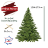 sapin nordman taille 150-175cm - La jaridnerie de Pesicart Nice Livraison Gratuite