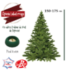 sapin epicea taille 150-175 pied a eau - La jaridnerie de Pesicart Nice Livraison Gratuite