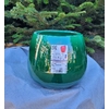 PA164JA  - pot cancale  jade - Les poteries d'Alb d14 h 14 i - La jardinerie de Pessicart Nice 06