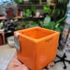 Cache-pot magnet - Carré 6x6 cm - Orange brillant - Magnetized - La Jardinerie de Pessicart Nice 06100