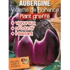 Aubergine greffée violette de florence-La Jardinerie de Pessicart Nice 06100