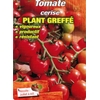 Tomate Cerise-La Jardinerie de Pessicart Nice 06100
