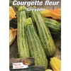 Courgette Fleur Greyzini-La Jardinerie de Pessicart Nice 06100