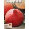 Potimarron - godet-godet-La Jardinerie de Pessicart Nice 06100