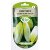 CHICOREE ENDIVE de Bruxelles 6gr-la jardinerie de pessicart 06100 nice