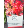 Rhododendron - Pot 5 litres SCYPHOCALIX-La jardinerie de pessicart 06100 nice