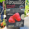 Framboisier Versailles pot 1.5 L Très gros fruits sucrés récolte juillet à octobre. la jardinerie de pessicart nice 06