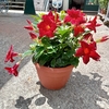 IMG20230614132438