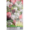 sacs 18 bulbes Narcisses + Tulipes-la jardinerie de pessicart nice 06