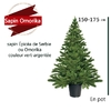 Sapin Épicéa de Serbie ou Omorika de 150 175 cm en pot (arbustes vivants)- Livraison a domicile nice 06 plantes vertes terres terreaux jardinage arbres cactus