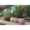 Petit pot rond 3-la jardinerie de pessicart nice 06