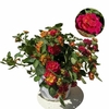 Lantana bandana- Pot Ø 19 (3L) fleur rouge la jardinerie de pessicart nice 06 (1)