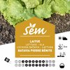 9196 laitue batavia pierre bénite la jardinerie de pessicart nice 06
