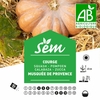 Courge musquée de Provence la jardinerie de pessicart nice 06