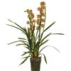 cymbidium orange - la jardinerie de pessicart nice 06