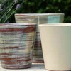 ODYSSEE Collection crème noisette  _ la jardinerie de Pessicart Nice 06100