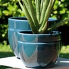 AUSTRAL Collection Urbain_ la jardinerie de Pessicart Nice 06100
