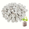 Pastillle de Tourbe Compressées  _ la jardinerie de Pessicart Nice 06100