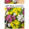 10 bulbes ALLIUM en mélange Cal 04_05 _la jardinerie de Pessicart Nice 06100 (1)