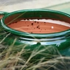 Pot bouton de rose JA _ la jardinerie de pessicart nice 06 LIVRAISON GRATUITE