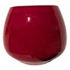 albi_petiot_rouge_2_la jardinerie de pessicart nice 06 LIVRAISON GRATUITE
