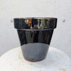 ALBI_NOIR_la jardinerie de pessicart nice 06 LIVRAISON GRATUITE