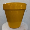 albi_ibiza_la jardinerie de pessicart nice 06 LIVRAISON GRATUITE