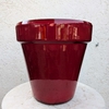 ALBI_ROUGE_la jardinerie de pessicart nice 06 LIVRAISON GRATUITE