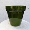 ALBI_FORET_la jardinerie de pessicart nice 06 LIVRAISON GRATUITE