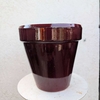 ALBI_CERISENOIRE_la jardinerie de pessicart nice 06 LIVRAISON GRATUITE