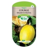 Courgette végetable Spaghtti 4 gr_la jardinerie de pessicart nice 06 LIVRAISON GRATUITE