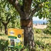 bande de glu_la jardinerie de pessicart nice 06 LIVRAISON GRATUITE