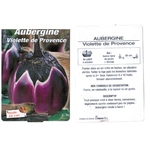 Aubergine violette de Provence plantons plants potager - La jardinerie de pessicart nice - Livraison a domicile nice 06 plantes vertes terres terreaux jardinage arbres cactus