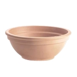 coupe boule-La jardinerie de pessicart 06100 nice