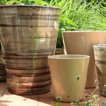 Collection crème noisette _ la jardinerie de Pessicart Nice 06100