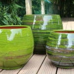 Collection Forêt -- la jardinerie de Pessicart Nice 06100