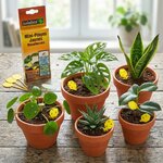 pièges moucherons_la jardinerie de pessicart nice 06 LIVRAISON GRATUITE