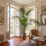 Palmier d'intérieur - Kentia - Howea_la jardinerie de pessicart nice 06 LIVRAISON GRATUITE
